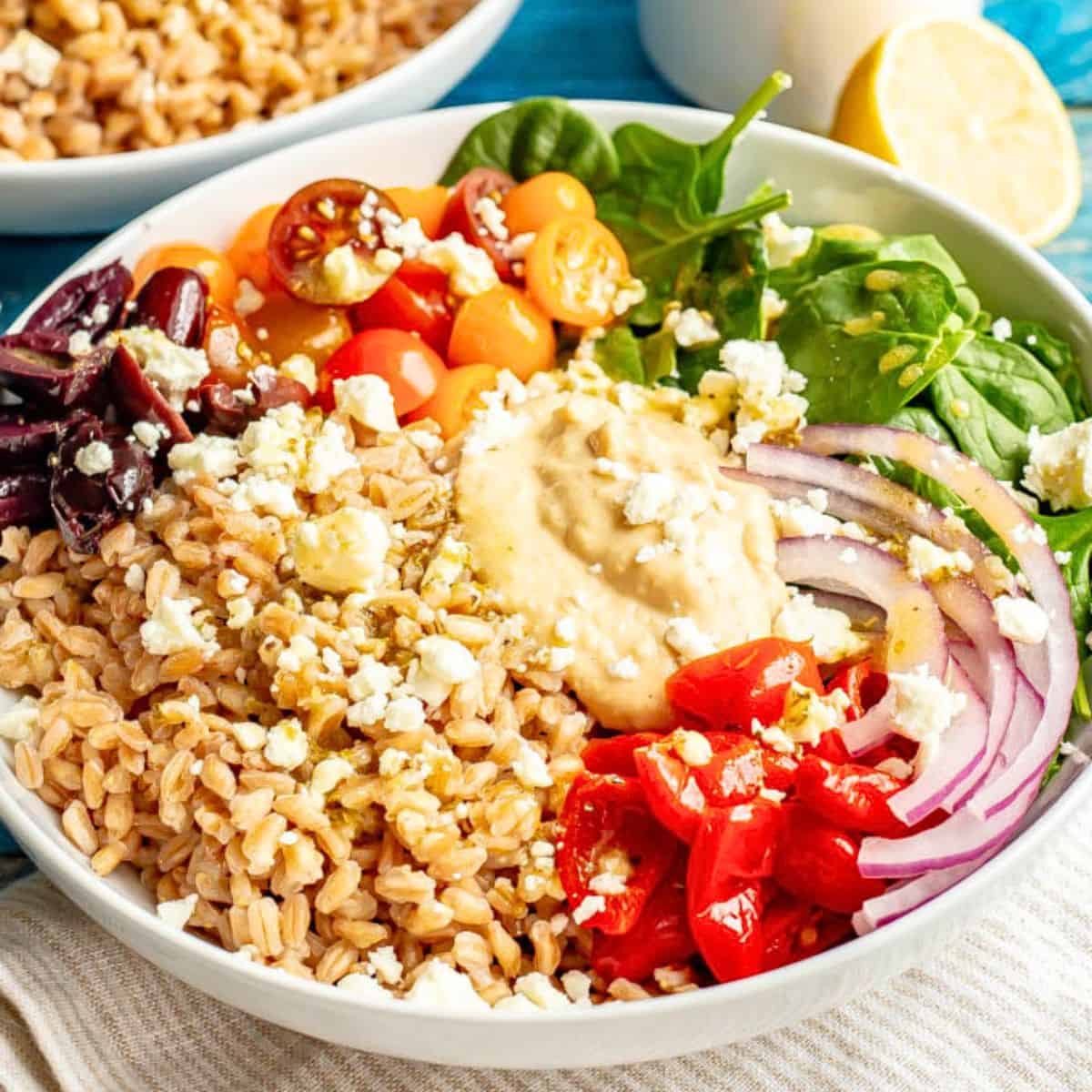 Close up of a low white bowl filled with cooked farro, baby spinach, piles of fresh tomatoes and olives plus red onion and peppers and a dollop of hummus in the middle with feta cheese sprinkled on top.