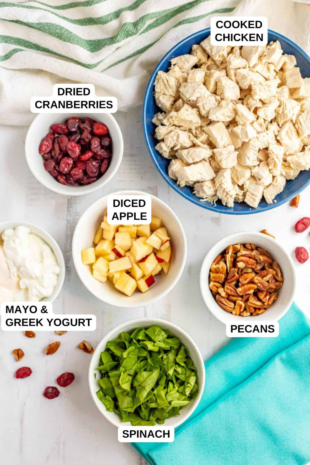 Ingredients laid out in separate bowls for making a chicken salad recipe with dried cranberries, apples, pecans and spinach.