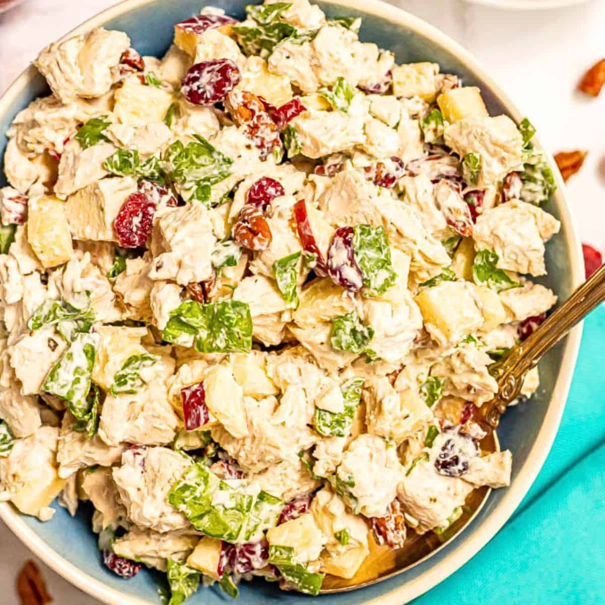 Close up of a blue bowl full of chicken salad with pecans, spinach, dried cranberries and apples.
