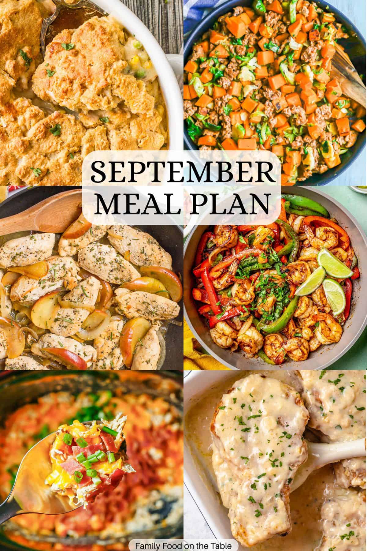 A collage of six different family dinner ideas with a text overlay in the middle.