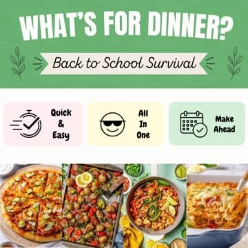 A collage graphic based on a simplified decision tree matching dinners for back to school season.