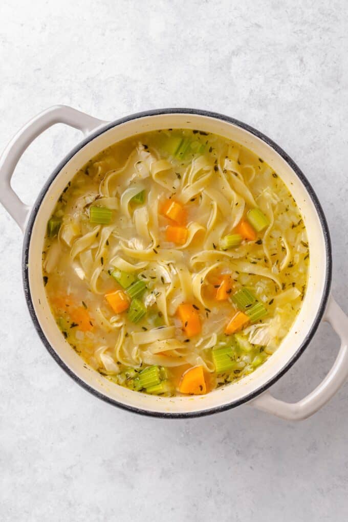 A large soup pot full of a homemade chicken noodle soup.