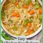A dutch oven filled with a simple homemade chicken noodle soup with lemon wedges and fresh herbs to the side with a green border and text around the photo.