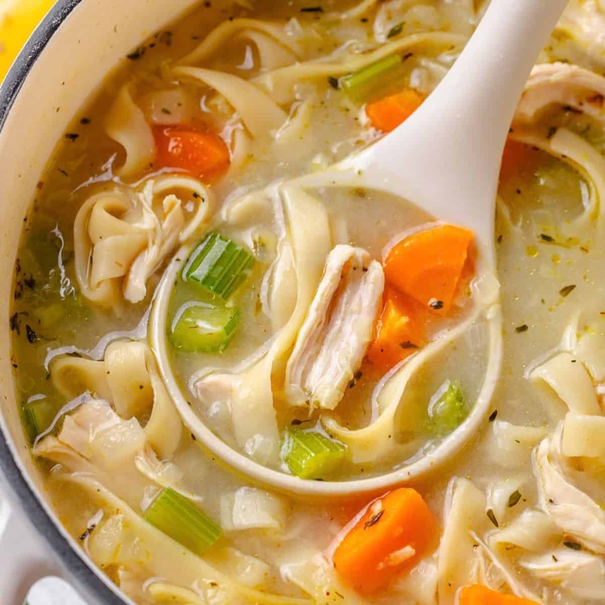 Close up of a white ladle lifting a scoop of chicken noodle soup with egg noodles and rotisserie chicken from a stock pot.