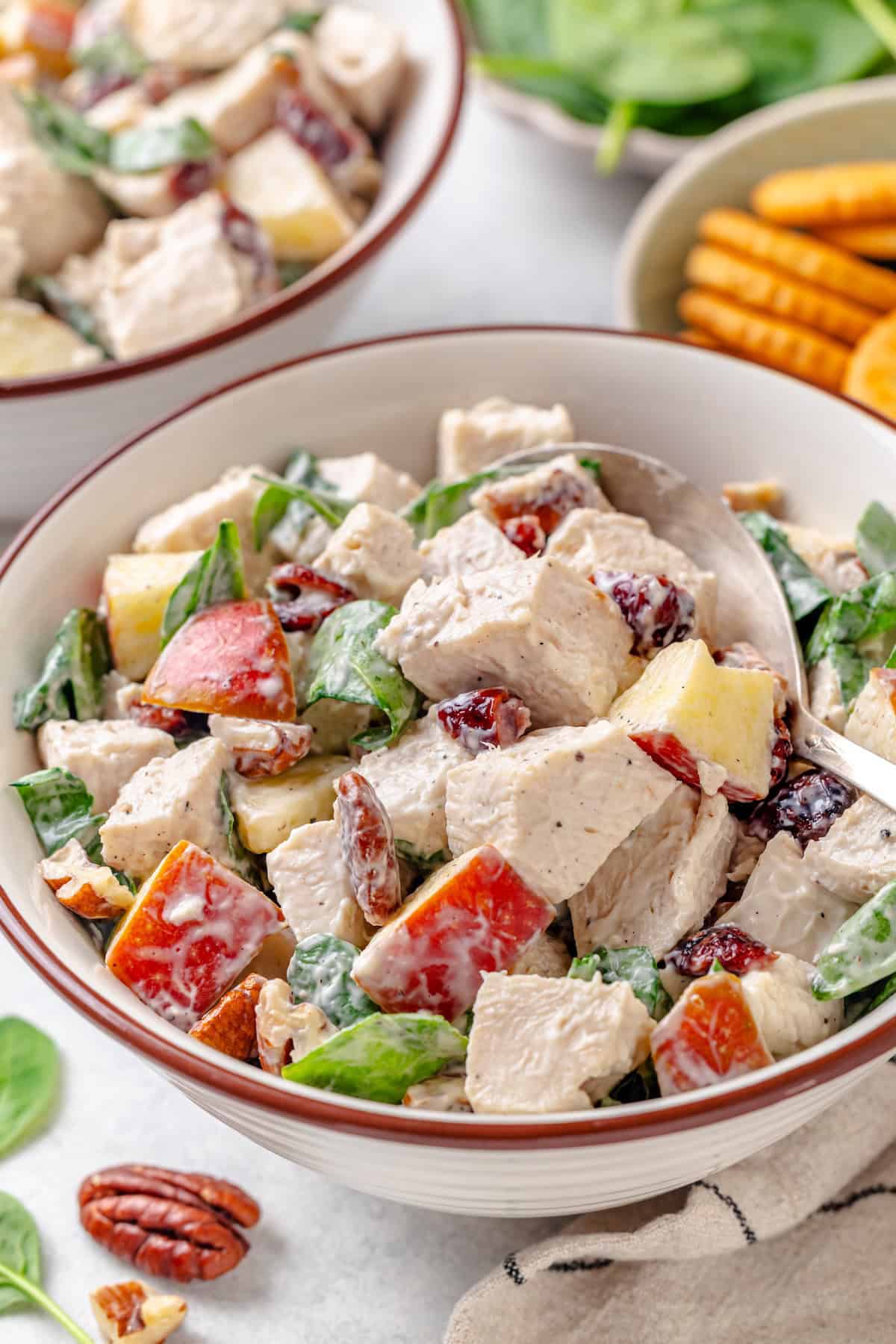 Harvest chicken salad with pecans, apples and dried cranberries is a delicious, crunchy, fresh fall twist on the classic! It's delicious as a sandwich, wrap or served with crackers or greens. #chickensalad #lunchrecipes #fallrecipes #lunchtime #chickenrecipes A spoon resting in a bowl of harvest chicken salad with crackers in the background.