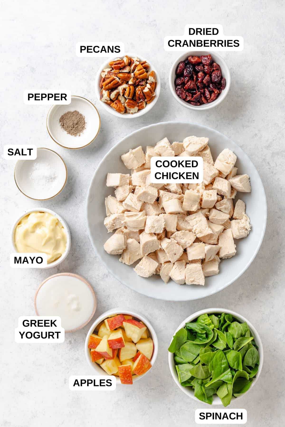 Ingredients laid out in separate containers for making a chicken salad recipe with apples, spinach, pecans and dried cranberries.