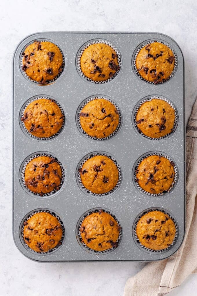 Baked chocolate chip muffins in a muffin tin.