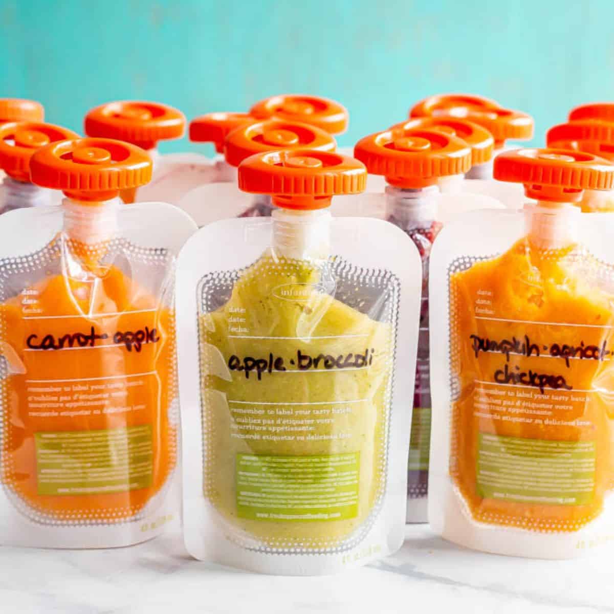 Close up of rows of homemade baby food pouches lined up and labeled with what the puree is.