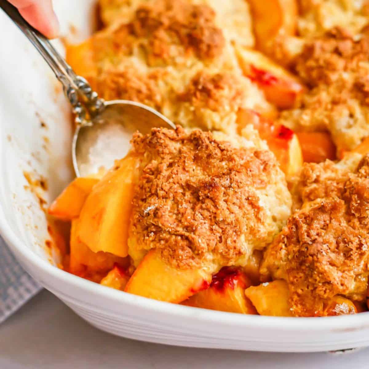 Close up of a scoop of peach cobbler being lifted from a white rectangular baking dish.