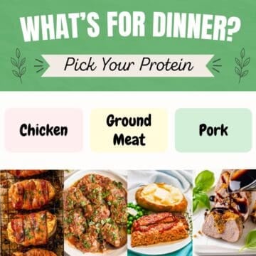 A collage graphic based on a simplified decision tree matching dinners based on protein type.