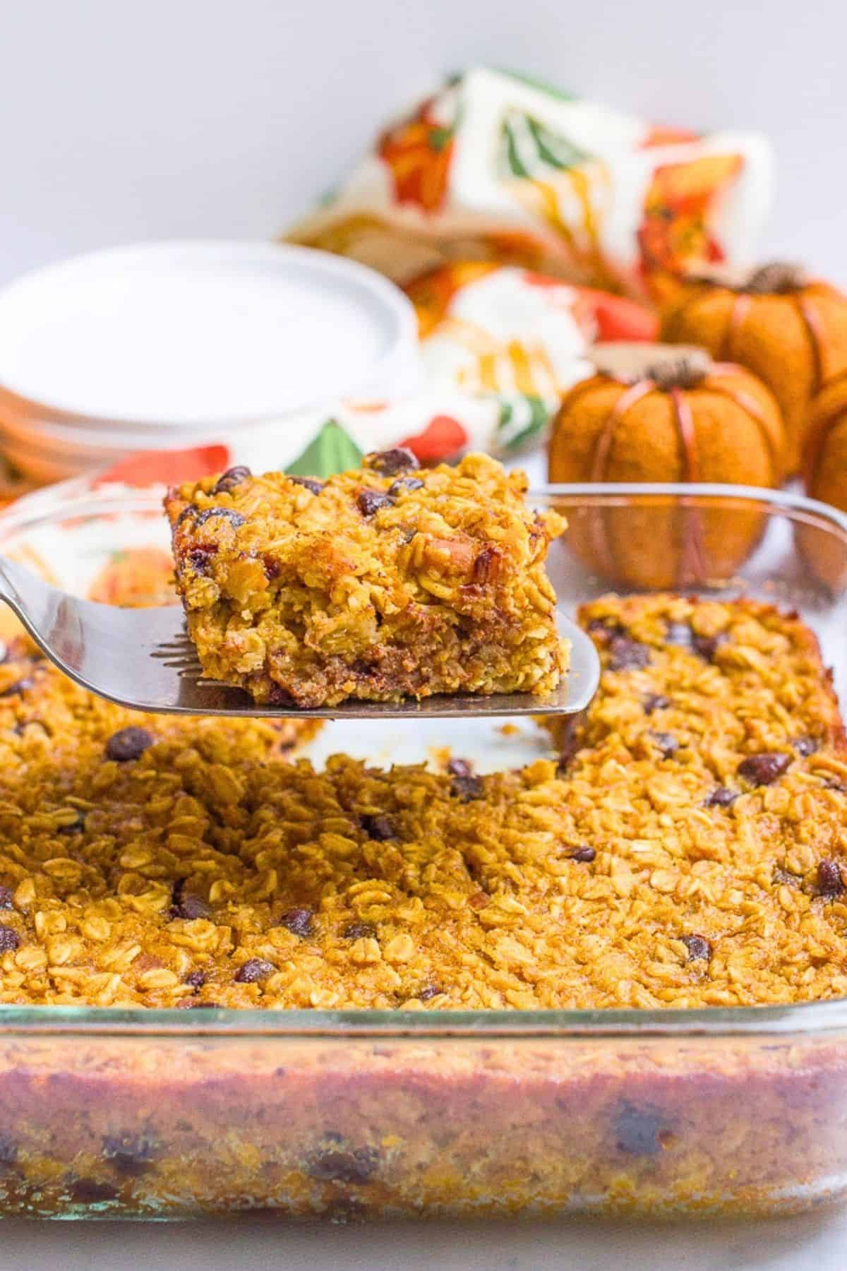 A spatula lifting up a square piece of pumpkin baked oatmeal with chocolate chips from a pan with plates and decor pumpkins in the background.