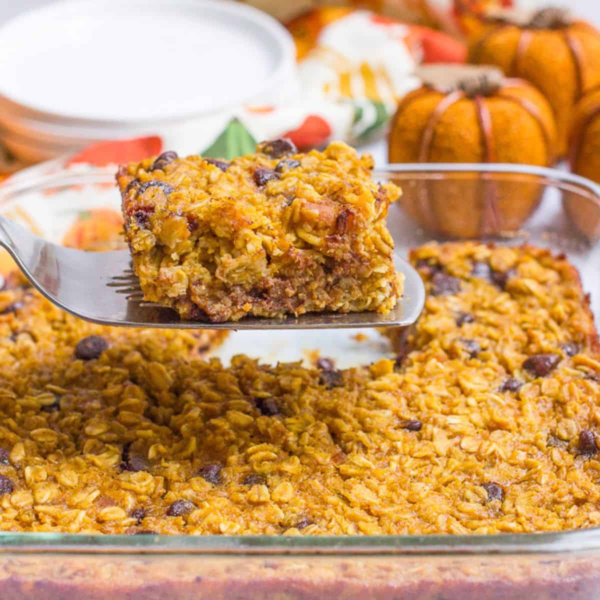 Close up of a spatula lifting up a square piece of pumpkin baked oatmeal with chocolate chips from a pan with plates and decor pumpkins in the background.