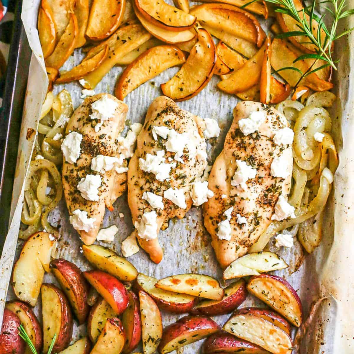 Close up of a sheet pan with chicken breasts topped with goat cheese in the middle and roasted apples to one side and roasted potato wedges to the other side with sprigs of fresh rosemary as garnish.