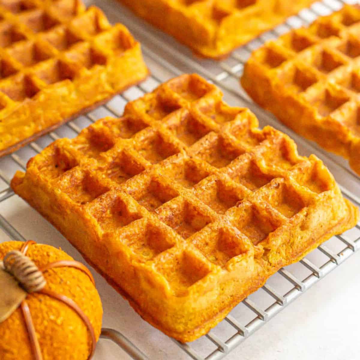 Close up of a large square homemade pumpkin waffle on a wire cooling rack.